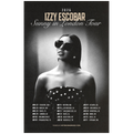 Sunny in London Tour Poster